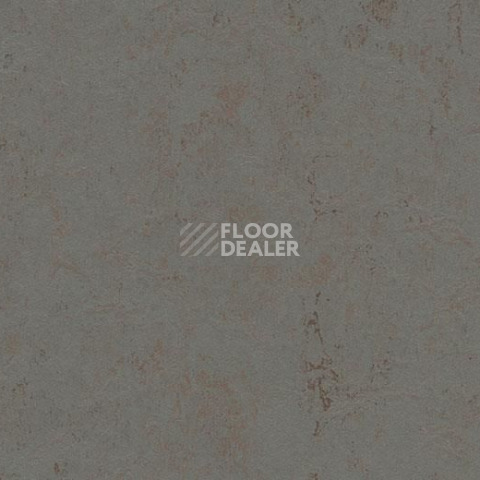 Линолеум Forbo Marmoleum Decibel on Order 370335 comet фото 1 | FLOORDEALER
